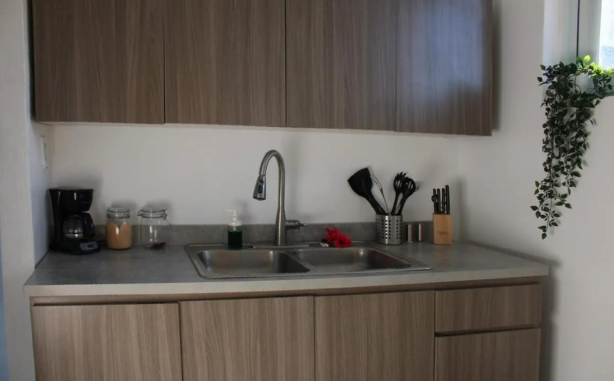 公寓 Santurce House Metro View City 圣胡安